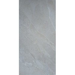 DALLE 2CM ELIMON GRIGIO 60X120 - 140P3