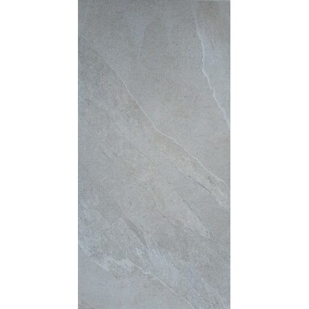 DALLE 2CM ELIMON GRIGIO 60X120 - 140P3