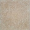 DALLE 2CM GARDA BEIGE 60X60 - 470E1