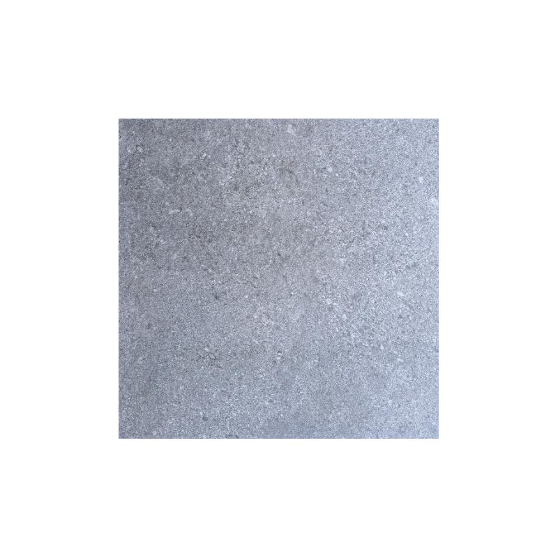 DALLE 2CM PRECIOUS GREY 60X60 - 480J1